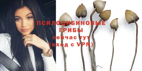 прущая мука Наволоки
