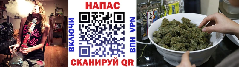 Конопля гибрид Туринск